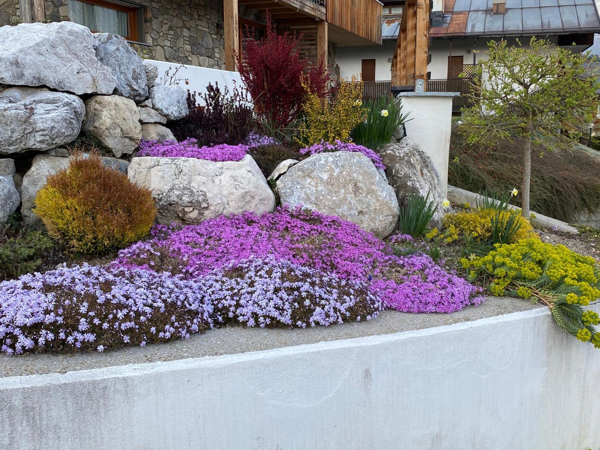 Reggia Al Sole Apartment Pieve di Cadore Exterior photo